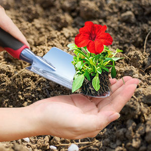 Hand Trowel