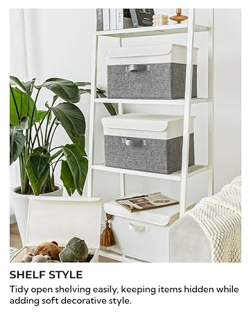 ????? (shelve)