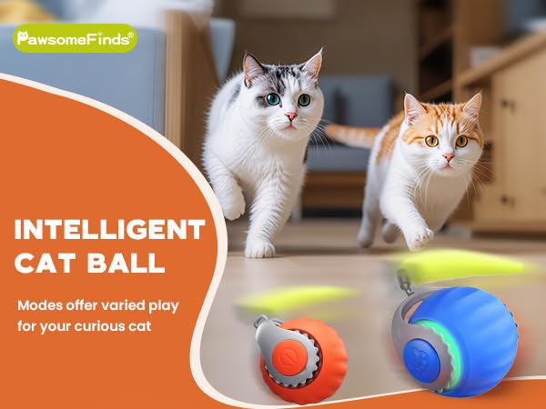 cat toy