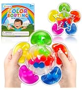 Color Sorting Toys Sensory Toys, Fine Motor Skills Game for Toddlers, Color Matching Toys Prescho...
