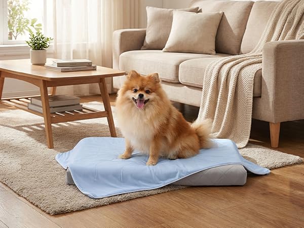 cooling blanket for dogs