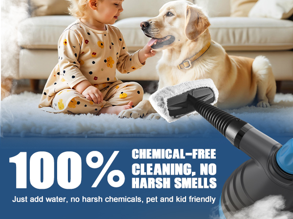 mini steam cleaner