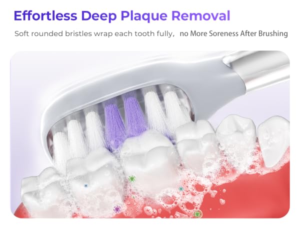 electric toothbrush