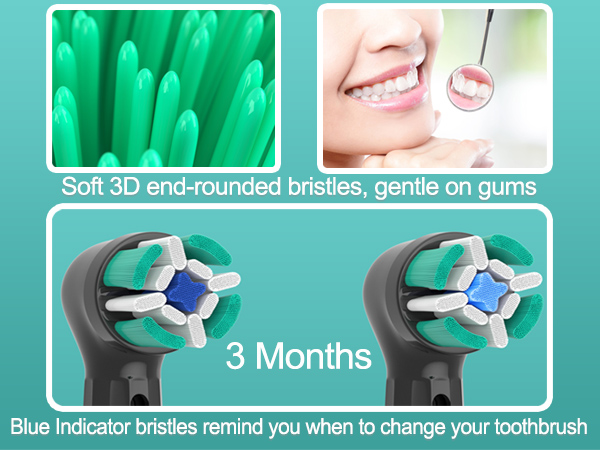 Toothbrush with soft 3D end-rounded bristles, gentle on gums. Blue indicator bristles show when to change. Close-up of green bristles and dental checkup image included.