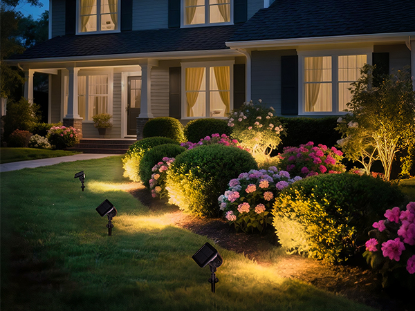 solar pathway lights outdoor