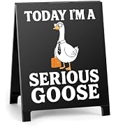 Funny Office Desk Decor for Coworkers Friends Today I'm A Serious Goose Sarcastic Office Desk Sig...