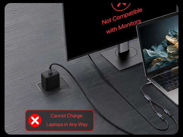 USB-C to USB-C Splitter