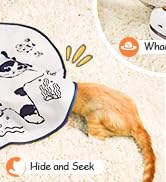 cat toys for bored indoor adult cats