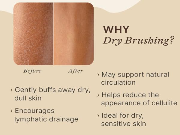 dry brushing body brush lymphatic drainage showering skin bath scrub shower natural cellulite