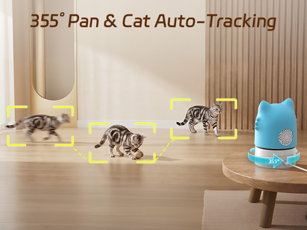 Cat Auto Tracking