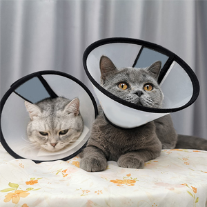 pet cone