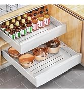 Pull out Cabinet Organizer, 21