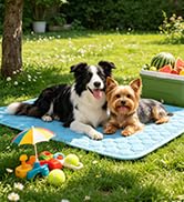 cooling dog beds for large dogs