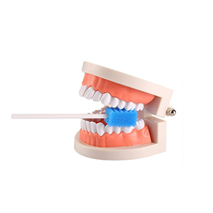 Oral Swabs