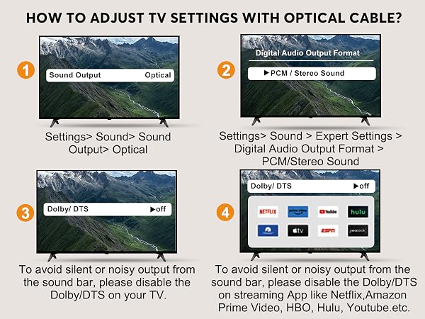 optical input