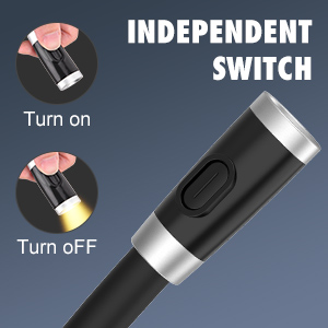 independent switch