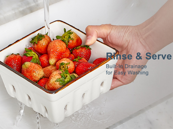 berry container