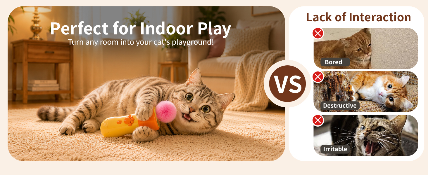 cat toy