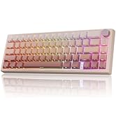 RisoPhy 60% Wireless Mechanical Gaming Keyboard, 2.4G/USB-C/Bluetooth Keyboard with LED Backlight...