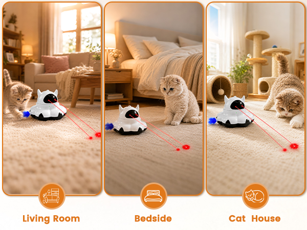 cat toys interactive