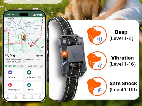 dog shock collar