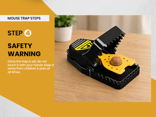 Mouse Traps