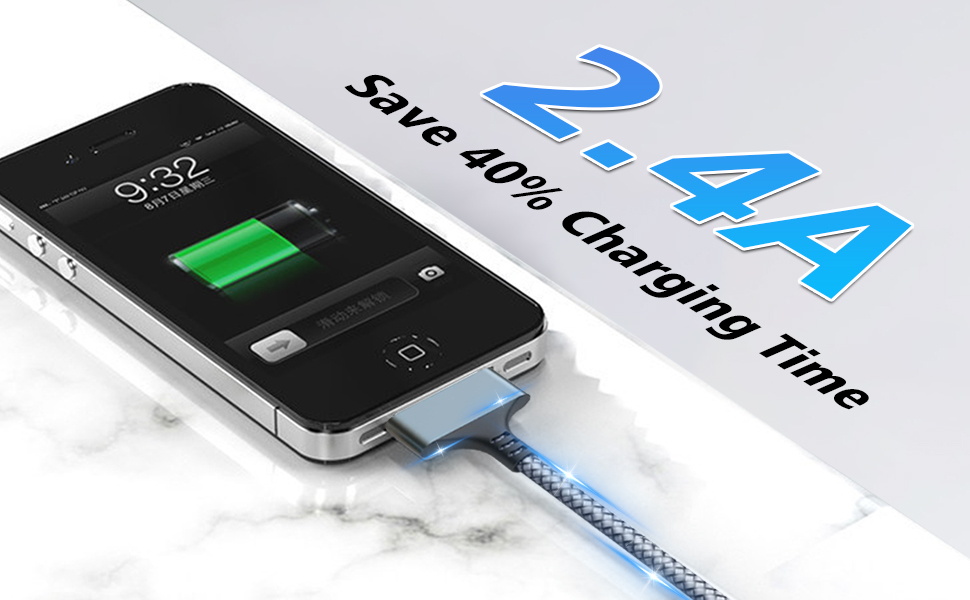 30 Pin to USB C Cable