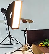Godox FW60x90CM / 24"x36" Bowens Mount Strip Honeycomb Grid Softbox, Portable Softbox with Bowens...