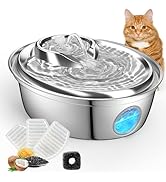 ORSDA Cat Water Fountain Stainless Steel, Automatic Pet Water Fountain, 67oz/2L Drinking Fountain...