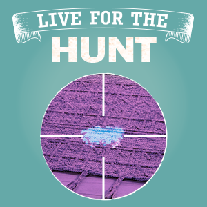 Live for the hunt