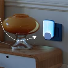 STEM Light Trap