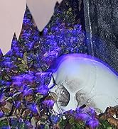 Lighted White Cloth Ghost Stakes