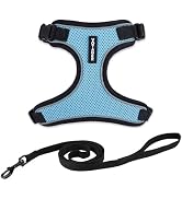 Voyager Escape Proof Cat Harness and Leash Set with Reflective Stitching, Neoprene Handle 5ft - S...