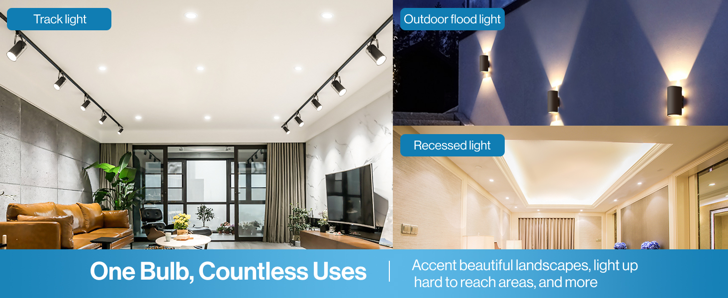 one bulb countless uses