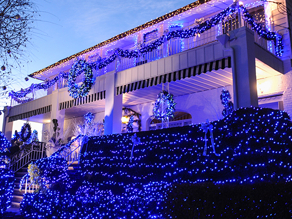 blue christmas lights