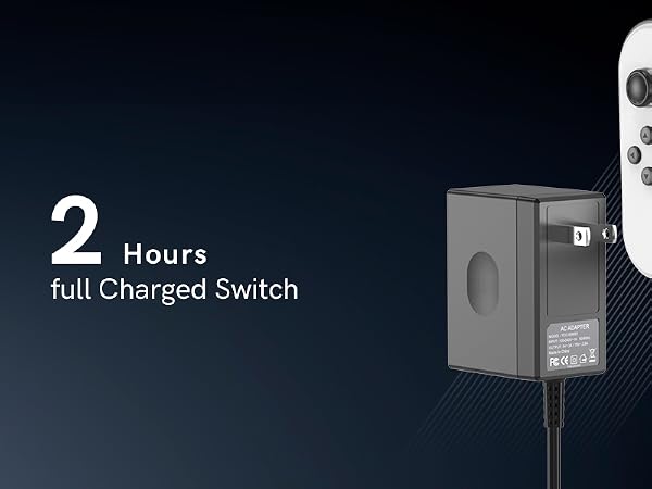 Nintendo Switch charger