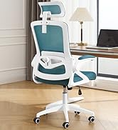 Blue Office Chair