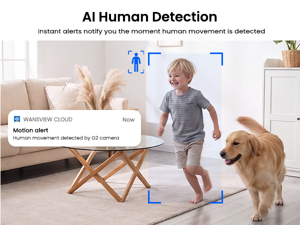 AI Human Detection