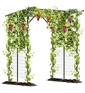 Giantex Outdoor Grape Vine Trellis for Climbing Plants, 79" x 59" x 78" Large Garden Arch with Ru...