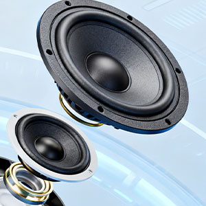 Speaker amplifier