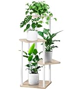 YOCOMEY 4 Tier Indoor Plant Stand Flower Shelf for Multiple Plants Corner, Tall Flower Holders fo...