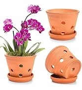 Jucoan 3 Pack 6 inch Terracotta Orchid Pots with Holes and Saucers, Small Clay Flower Pots Terra ...