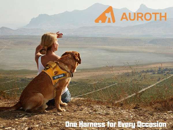dog harness