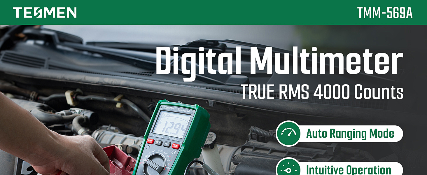 TESMEN TMM-569A Digital Multimeter TRUE RMS 4000 Counts