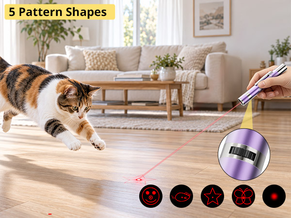 interactive cat toy