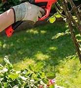 Cordless Electric Pruning Shear