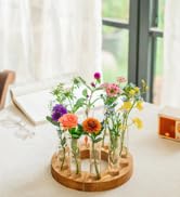 plant propagations