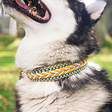 paracord dog collar