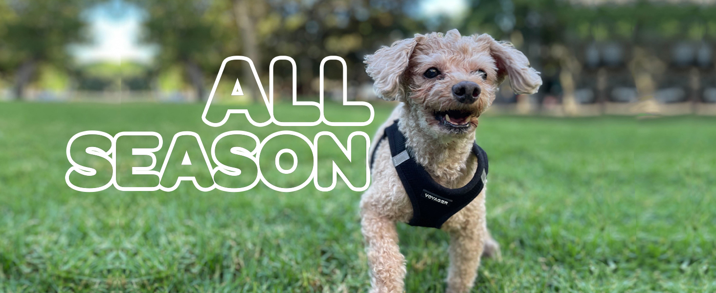 adjustable harness for growing puppies