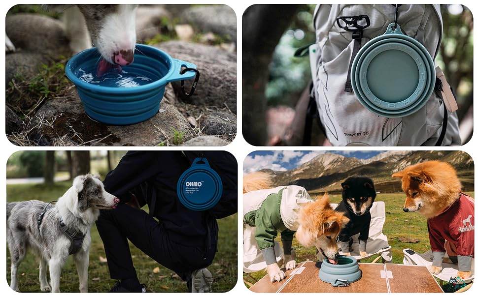 Collage of four images showing a blue collapsible pet bowl in use outdoors with dogs and a person.